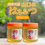 純粋天然 山口のはちみつ600g 4本