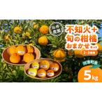 不知火 2~3種類 5kg