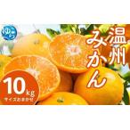 温州みかん 10kg