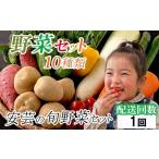 野菜 10種類 詰め合わせ 安芸野菜