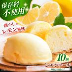 レモンケーキ 10個