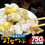 苫小牧産 冷凍ボイル灯台つぶ 3パック入