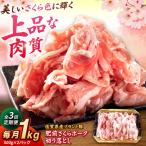 肥前さくらポーク 切り落とし 500g
