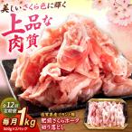 肥前さくらポーク 切り落とし 500g