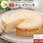 蔵王のチーズケーキ専門店 チーズケーキ
