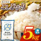 お米 こしひかり 無洗米 5kg