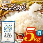 お米 こしひかり 無洗米 5kg