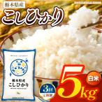 お米 こしひかり 白米 5kg