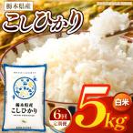 お米 とちぎの星 無洗米 5kg