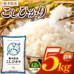お米 こしひかり 白米 5kg