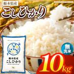 お米 こしひかり 無洗米 10kg