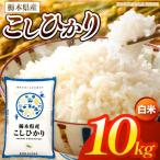 お米 こしひかり 白米 10kg
