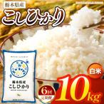 とちぎの星 白米 10kg
