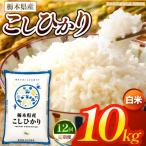お米 こしひかり 白米 10kg