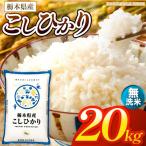 お米 こしひかり 無洗米 20kg