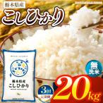 お米 こしひかり 白米 20kg
