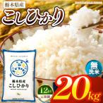 お米 こしひかり 白米 20kg