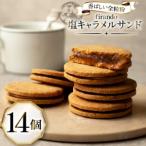 キャラメル フィナンシェ 14個入