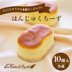 fu.... налог. .....-.10 штук чизкейк Ibaraki префектура Tsukuba город 