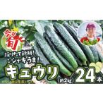 fu.... налог огурец .. длина автомобиль ki.!24шт.@60P3231[. нет Watanabe сельское хозяйство .....] Akita префектура большой павильон город 