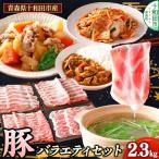 豚肉 産豚バラエティセット 2.3kg