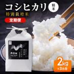 令和8年産 定期便 コシヒカリ特別栽培 精米 2kg×3カ月