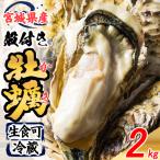 松島牡蠣屋 殻付き牡蠣 生食用 2kg