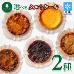 2種類 タルトケーキ