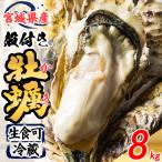 松島牡蠣屋 殻付き牡蠣 生食用 8kg