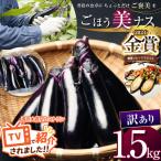 農家さん応援 訳ありごほう美ナス 約1.5kg