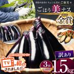 農家さん応援 訳ありごほう美ナス 約1.5kg
