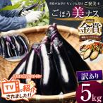 農家さん応援 訳ありごほう美ナス 約5kg