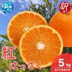 紅 はっさく サイズおまかせ 5kg