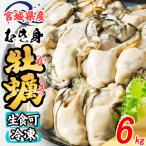 松島牡蠣屋 冷凍 生食用 牡蠣 むき身 6kg