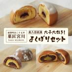 奥久慈銘菓 大子大好き よくばりセット 12個入り
