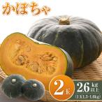 かぼちゃ 2玉2.6kg以上 予定 _05689