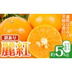 みかん 訳あり 麗紅 5kg