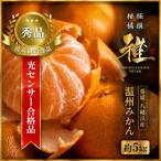 特撰柑橘 光センサー合格品 八幡浜温州みかん 約5キロ