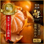 極撰柑橘 光センサー合格品 八幡浜温州みかん 約3キロ