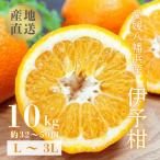 愛媛八幡浜産 宮内伊予柑 10kg