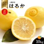 八幡浜産 はるか10kg YWTAS032