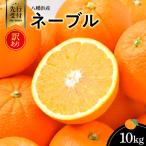 八幡浜産 ネーブル10kg YWTAS034