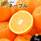 八幡浜産 ネーブル5kg YWTAS033