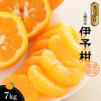 八幡浜産 伊予柑7kg YWTAS004