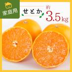 コウ果樹園の約3.5kg