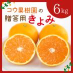 コウ果樹園の用きよみ6kg YWTG018