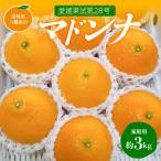 マドンナ 愛媛果試第28号 約3kg