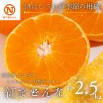 JAにしうわの季節の柑橘 紅まどんな 約2.5kg