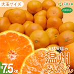 小林果園の果汁 愛媛温州みかん 約7.5kg