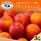 五代目が厳選したブラッドオレンジ 3kg